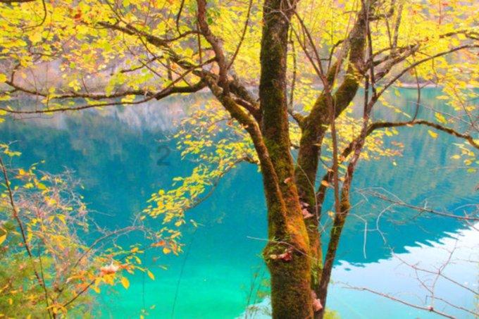 （乡村行·看振兴）山西潞州：“小庭院”书写生态致富“大文章”