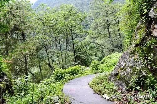 “跳水皇后”郭晶晶为国争光，夺得数枚金牌，她在退役后每个月能领多少钱？游戏画面