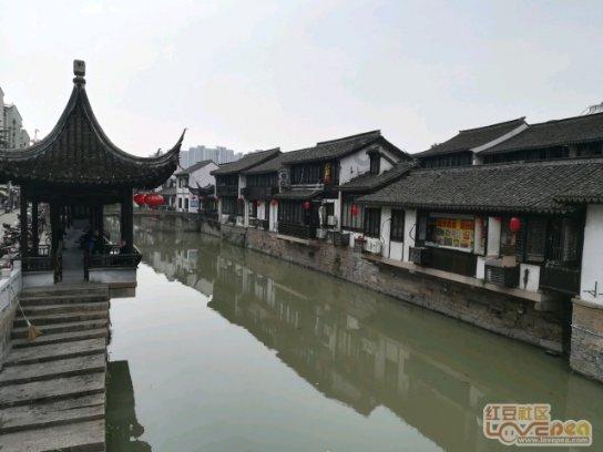 女巫的约定